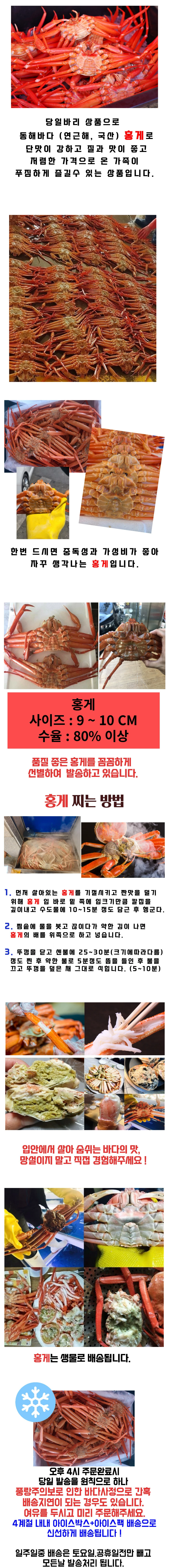 알찬홍게 (80%이상) 10~11cm/5마리,10마리 상세 안내 1