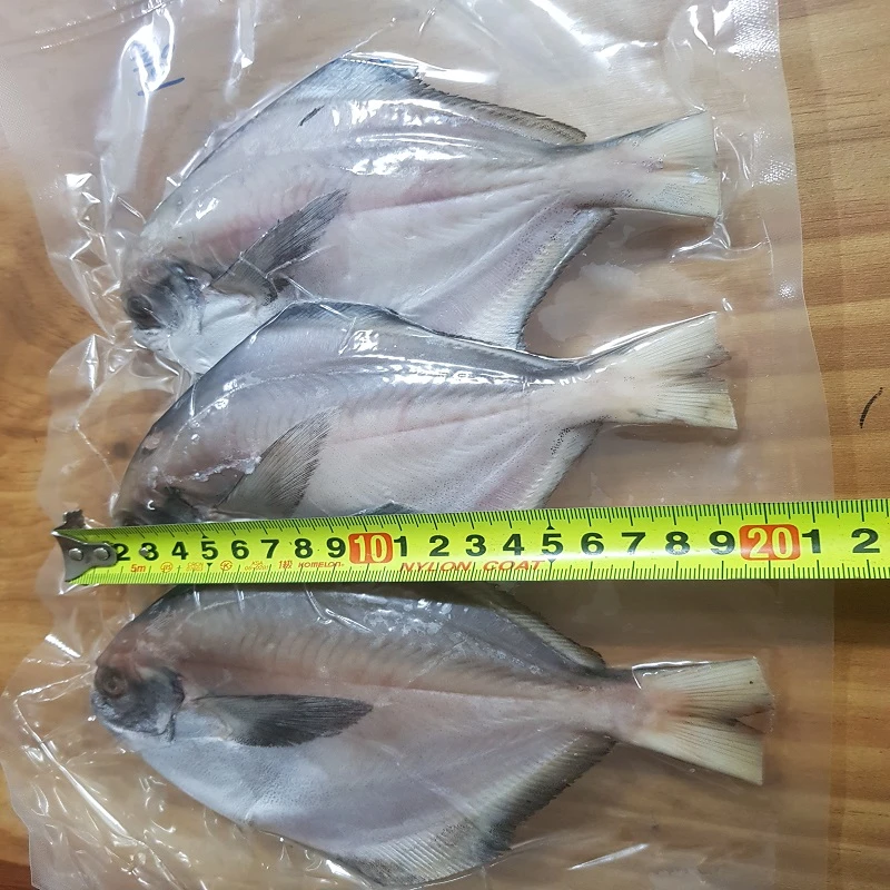 (특가)국내산 자연산 병어 손질 세척 병어 대용량15마리(3마리씩진공) (마리당150~200g내외) 싱싱 깔끔한 진공포장 상세 안내 8