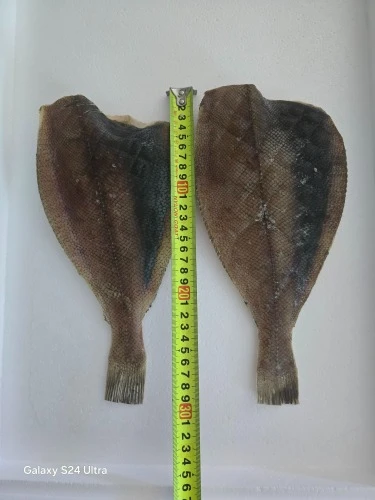 동해 해풍건조 참가자미 특대 완전손질 가자미 2마리(마리당30cm)