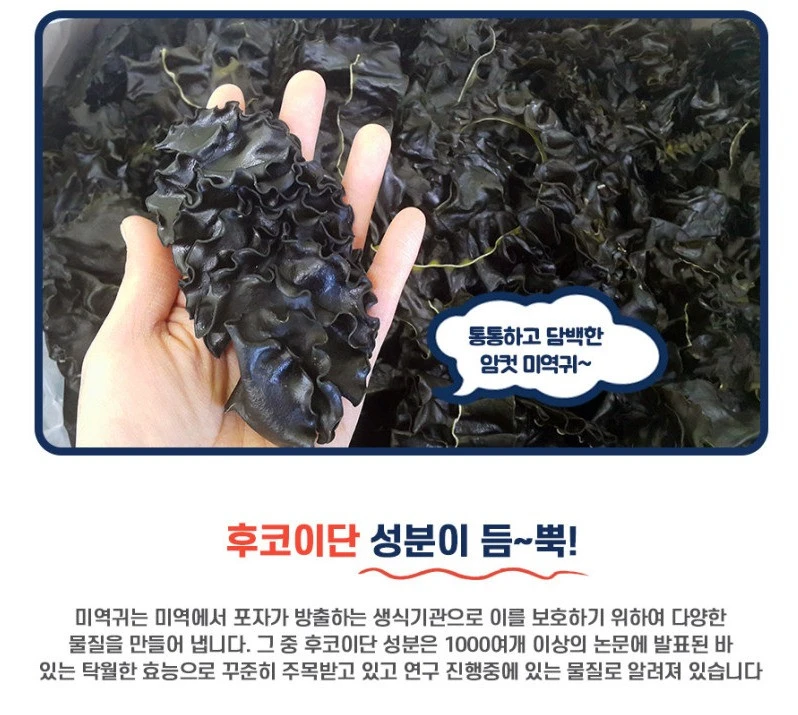 동해 자연산 미역귀(200g) 상세 안내 12