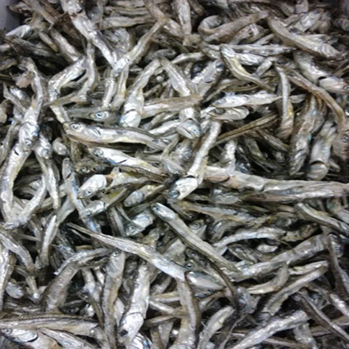 마른멸치 고바(중)1.5kg이상-찍어먹는 멸치