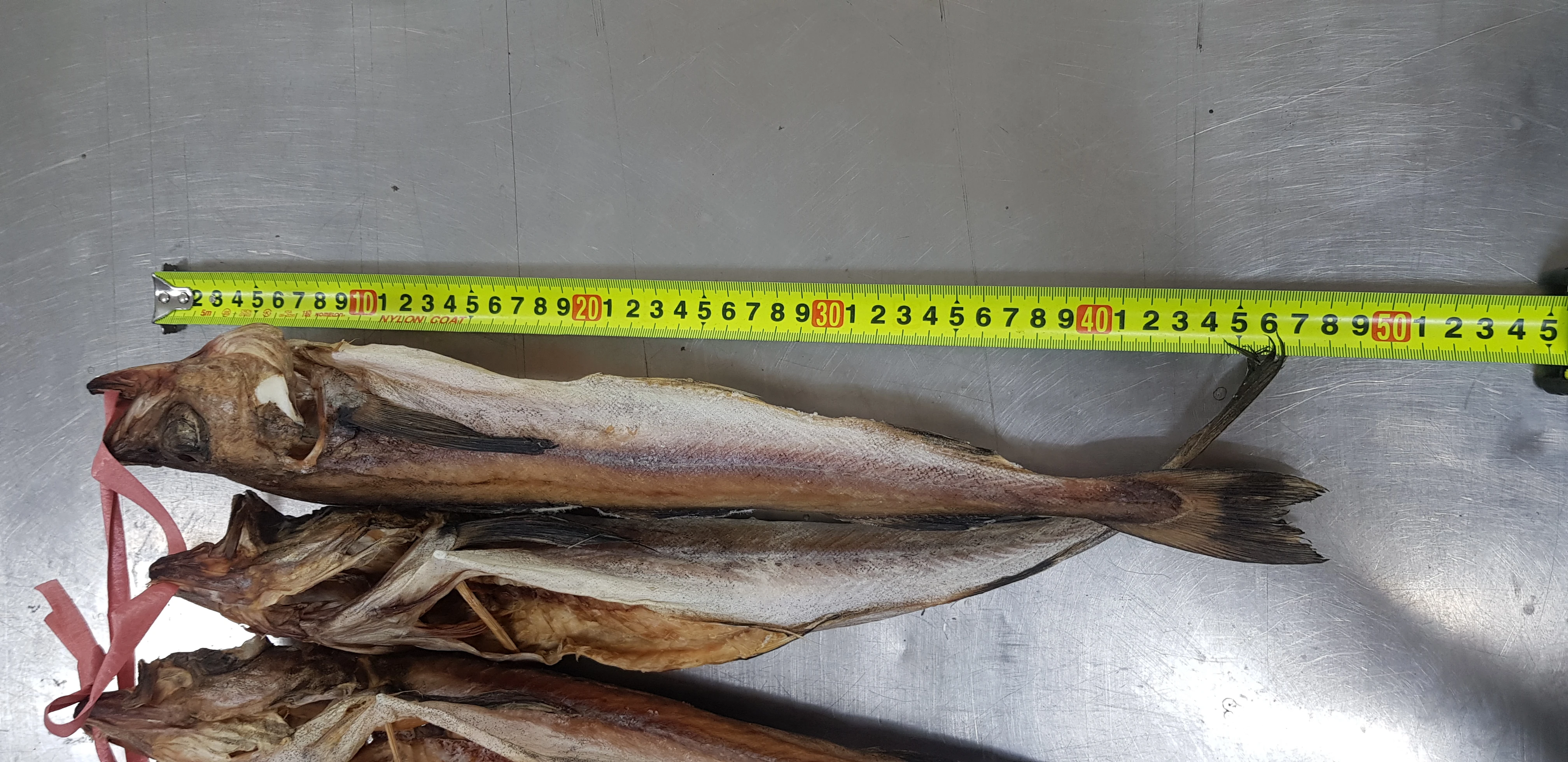 맛있는 명태역거리(대)10마리(3.2kg) 상세 안내 3