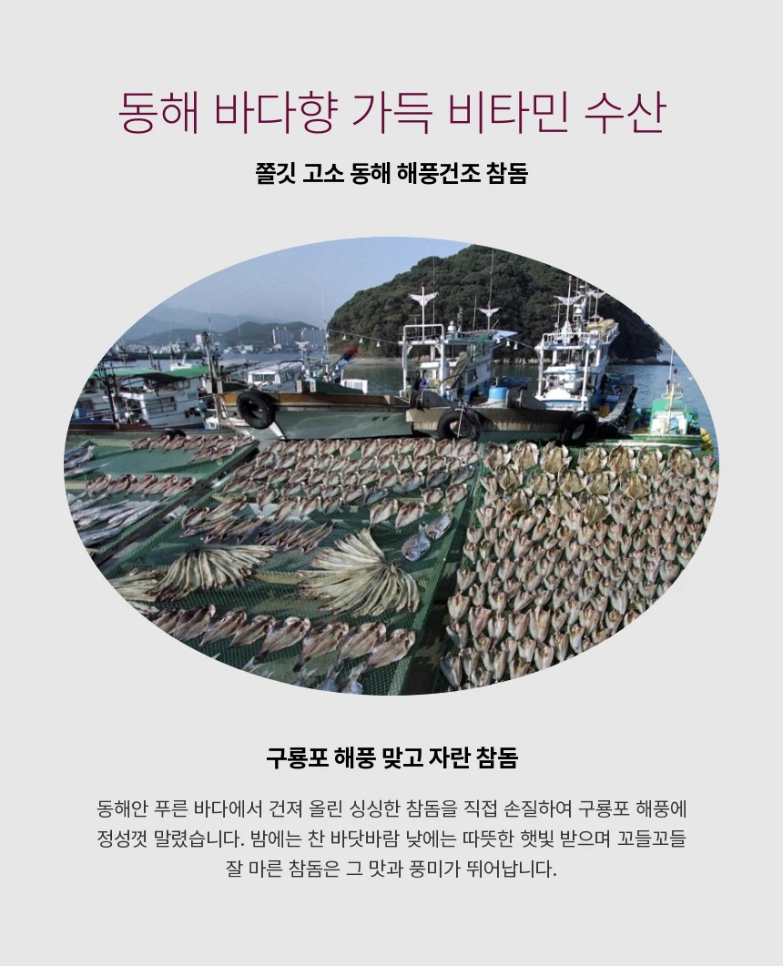 동해 해풍건조 국내산 반건조 참돔 완전손질 참돔3마리 (특대30cm내외/450g내외) 상세 안내 13