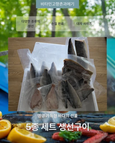 동해안 해풍건조 생선구이5종세트,(고등어,삼치,방어,열기,가자미)
