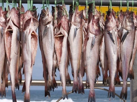 맛있는 명태역거리(대)10마리(3.2kg)