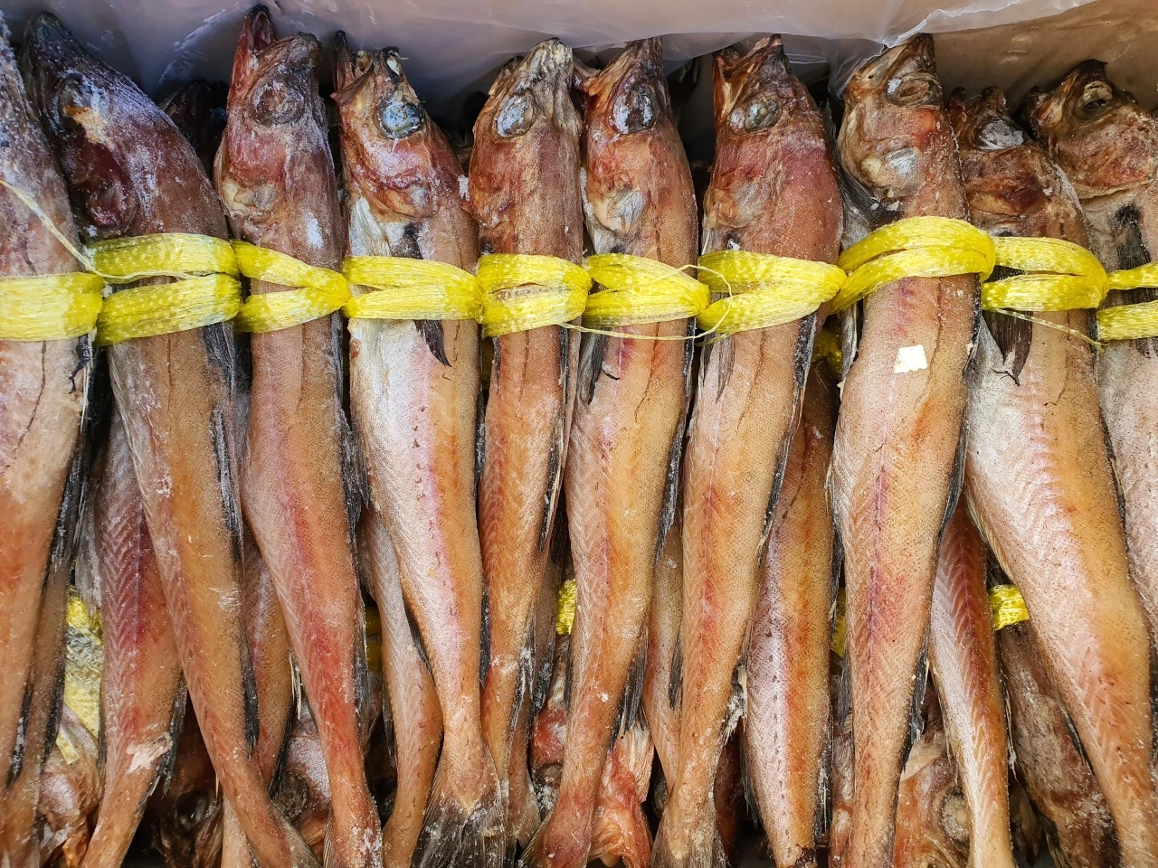 맛있는 명태역거리(대)10마리(3.2kg) 상세 안내 1