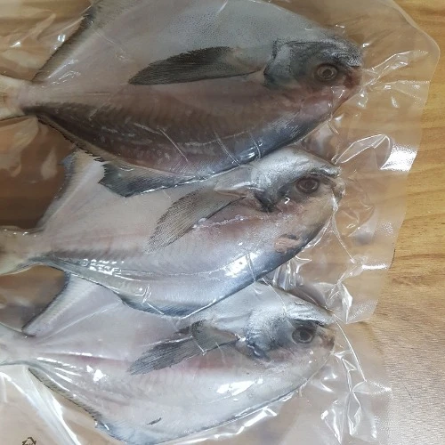 (특가)국내산 자연산 병어 손질 세척 병어 대용량15마리(3마리씩진공) (마리당150~200g내외) 싱싱 깔끔한 진공포장