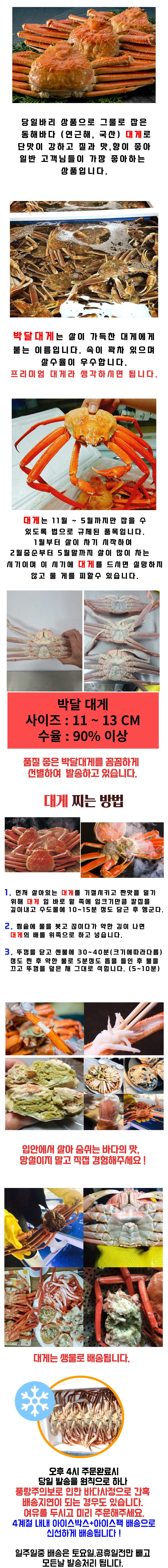 박달대게 11~13cm (90%이상)/1마리 상세 안내 1
