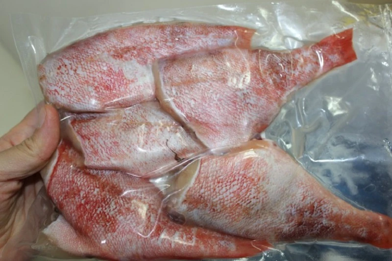 동해바다 손질 열기 적어 볼락 빨간생선 5마리(1kg 내외)(개별포장) 상세 안내 5