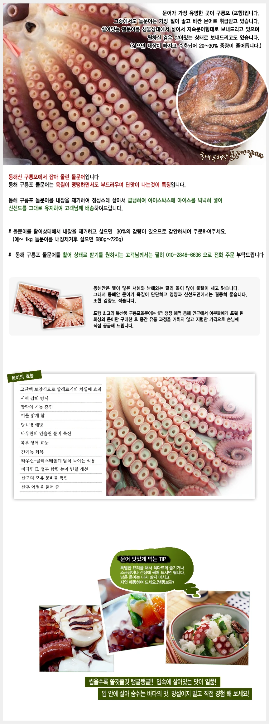 동해 호미곶 참돌문어 활어 10kg~ 1마리*이바지,단체 회식 모임용* ~삶아서보내드려요~ 상세 안내 1