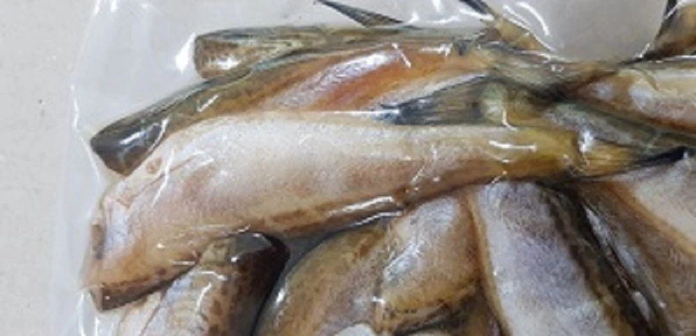 동해안 도루묵(두절후 손질됨)500g 상세 안내 11