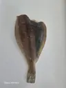 동해 해풍건조 참가자미 특대 완전손질 가자미 2마리(마리당30cm) 상품 이미지 2