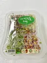 반반세트 중 (청어5+꽁치5)완전손질과메기10마리(20쪽)+야채풀세트 상품 이미지 5
