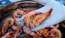 국내산 자연산 대하 특대 / 프리미엄 왕새우 급냉 /동해안 산지직송 (1kg-20~23미) 상품 이미지 3