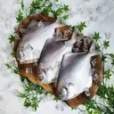 (특가)국내산 자연산 병어 손질 세척 병어 대용량15마리(3마리씩진공) (마리당150~200g내외) 싱싱 깔끔한 진공포장 상품 이미지 4