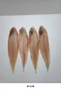 동해바다 해풍으로 건조한 반건조 생선(제수용,선물용)행사장 상품 이미지 6