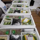 (대) (6~7인분) 완전손질과메기20마리(40쪽)+야채풀세트 상품 이미지 3
